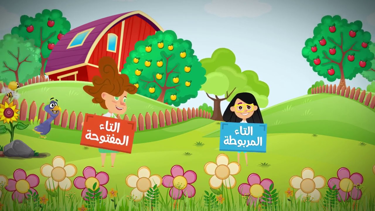 أغنية التاء المربوطة والمفتوحة@وسام النجار