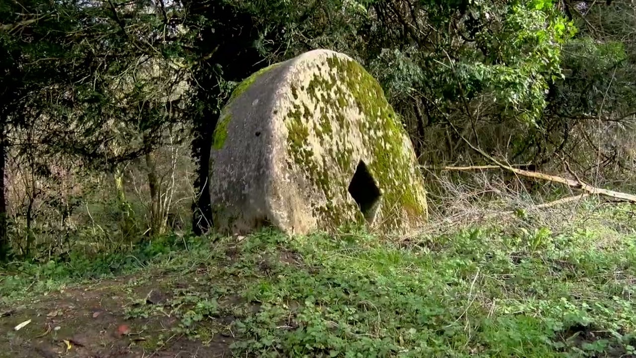 Surrey Shorts Gunpowder Mills
