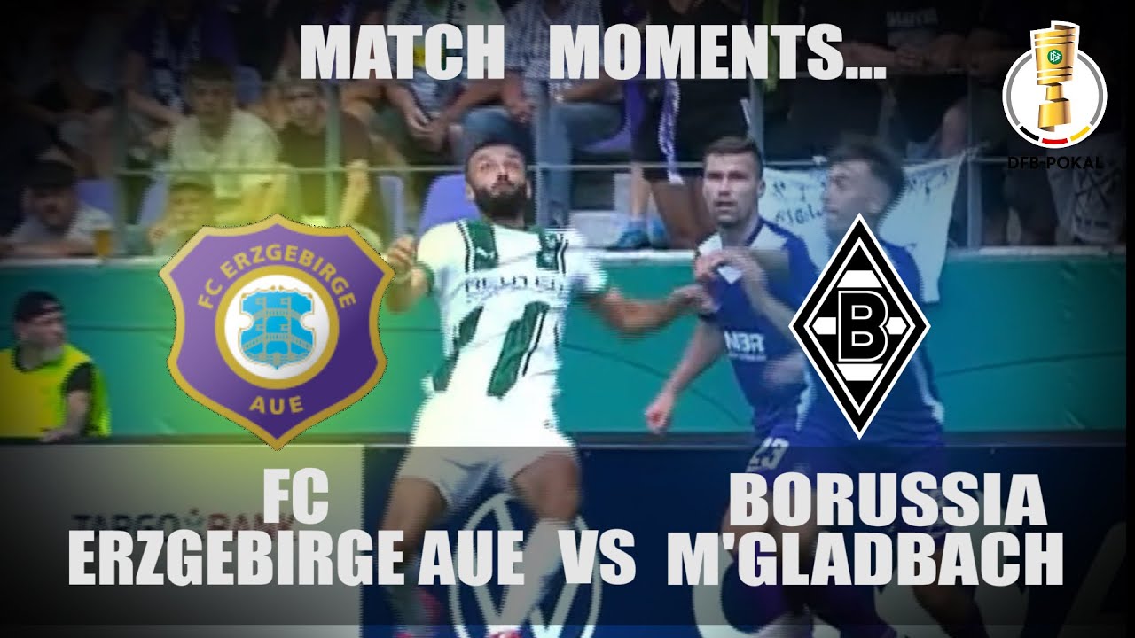 FC Erzgebirge Aue vs Borussia M&ouml;nchengladbach | DFB-Pokal 2024/25 First-Round Highlights!