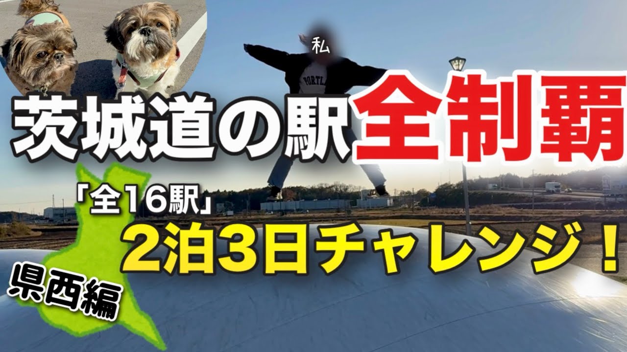 【茨城道の駅全制覇】50代夫婦が犬2匹と車中泊しながら茨城の道の駅全16駅巡りの旅スタート！