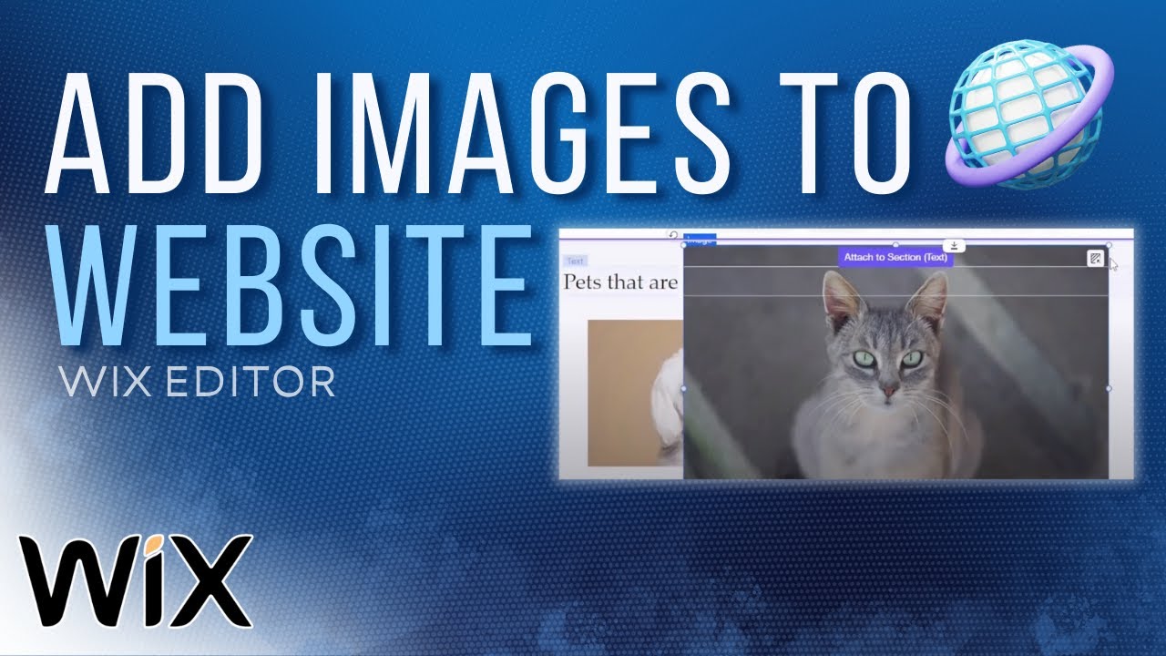 How to Add Images in Wix | Wix Tutorial (2025)
