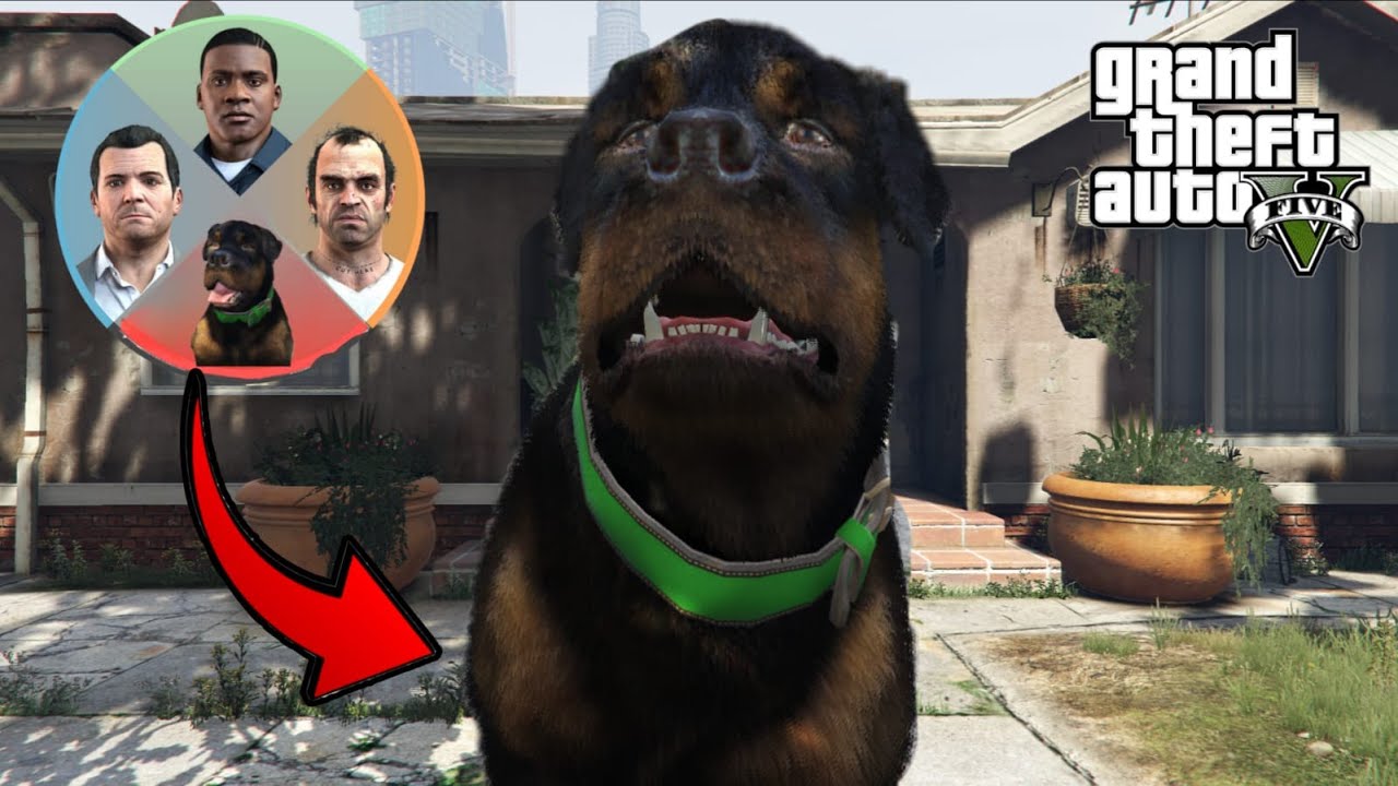GTA 5 - How To Unlock Secret 4th Character In Story Mode (Secret Mission)