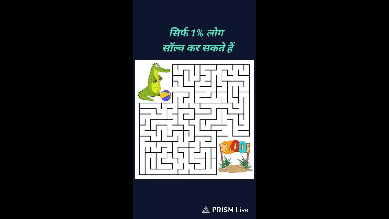 Live puzzle challenge livestream 