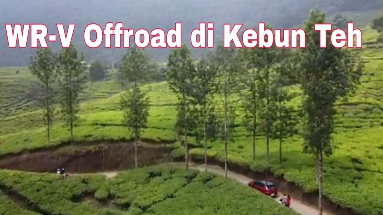Honda WR-V Diuji di Jalur Offroad Kebun Teh, Puncak.