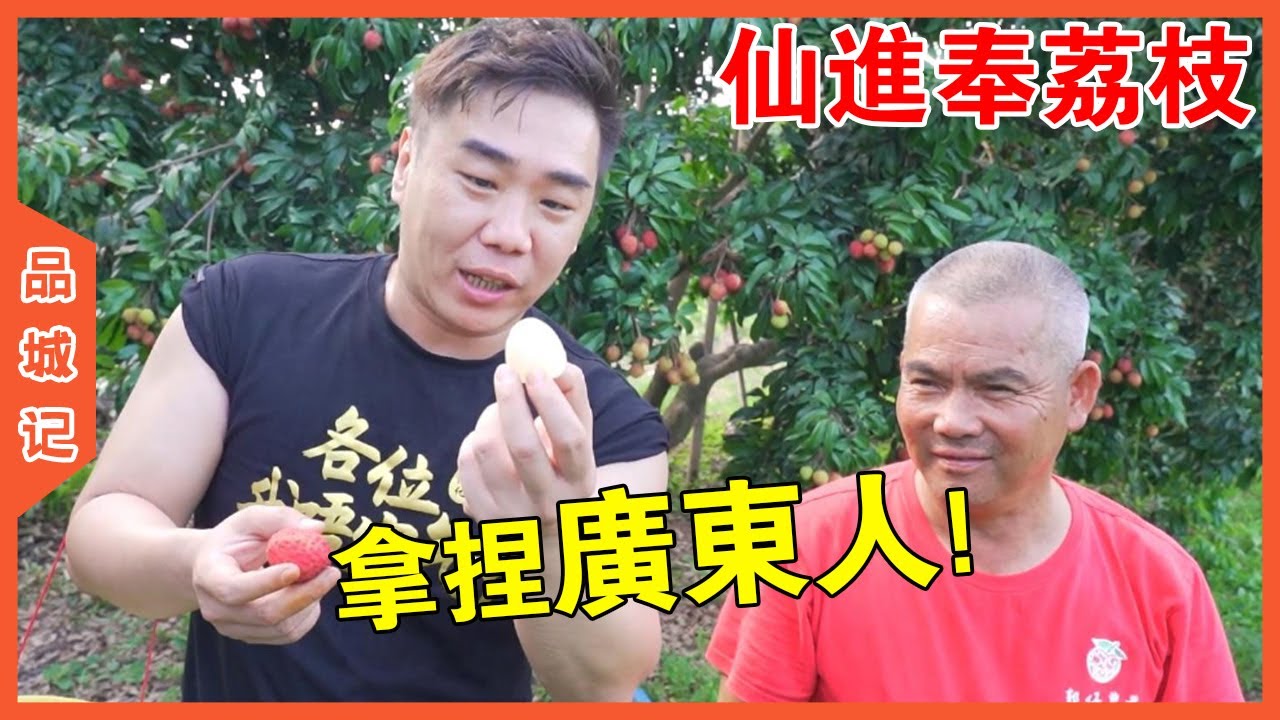 大秋等了一年的仙進奉來了，香甜飽滿又多汁！還有吃荔枝不上火這種好事？【品城記】