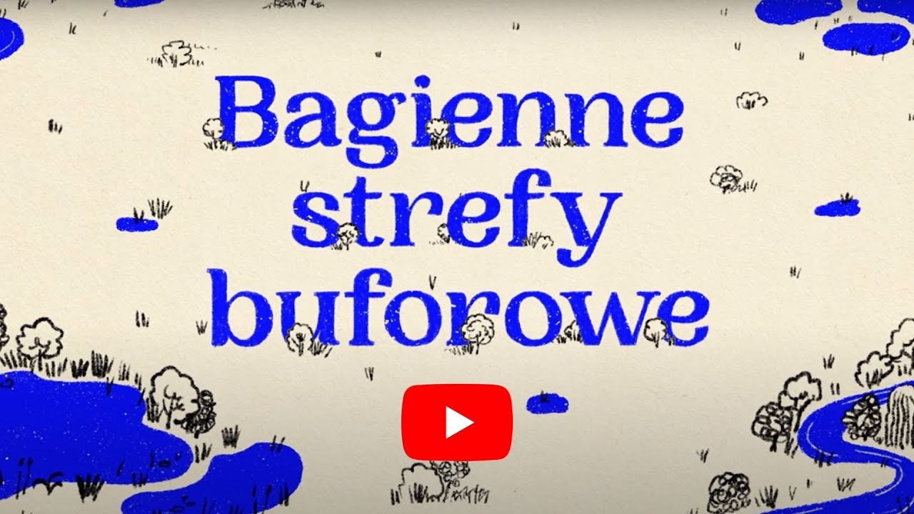 CLEARANCE - Bagienne strefy buforowe