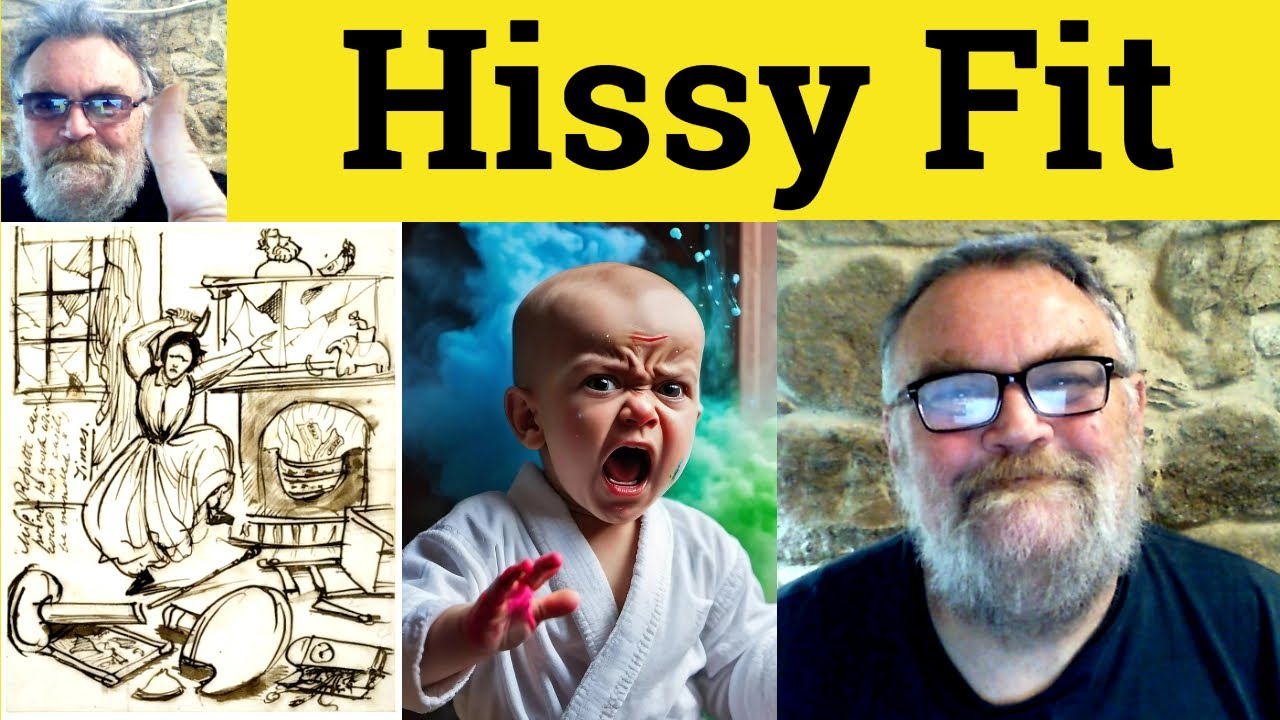 😎 Hissy Fit meaning - Hissy Fit Defined - Hissy Fit Examples - Hissy Fit Definition - Hissy Fit