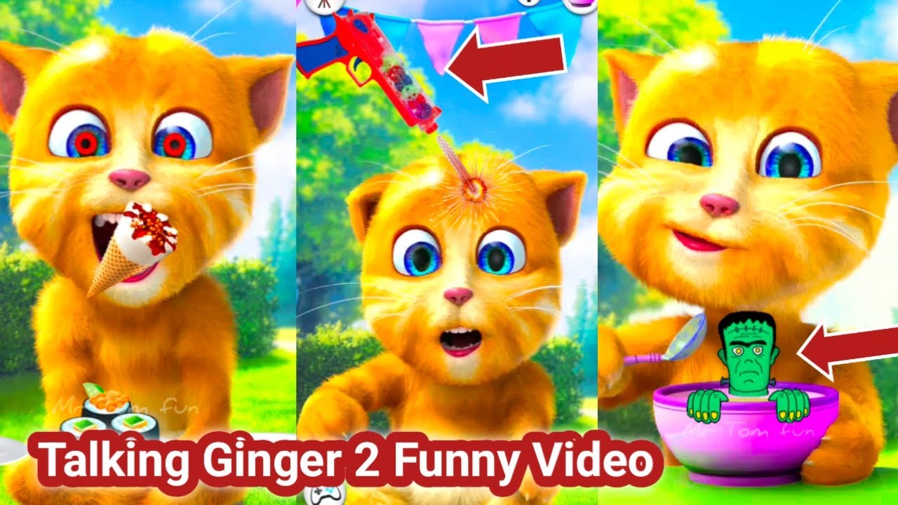 Talking Ginger 2 Funny Video 🙀🙊🤓 | talking ginger funny videos | talking ginger cat | 