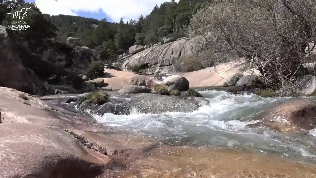 #UnaVentanaAlParqueNacional. Recuperación ecológica del río Manzanares.