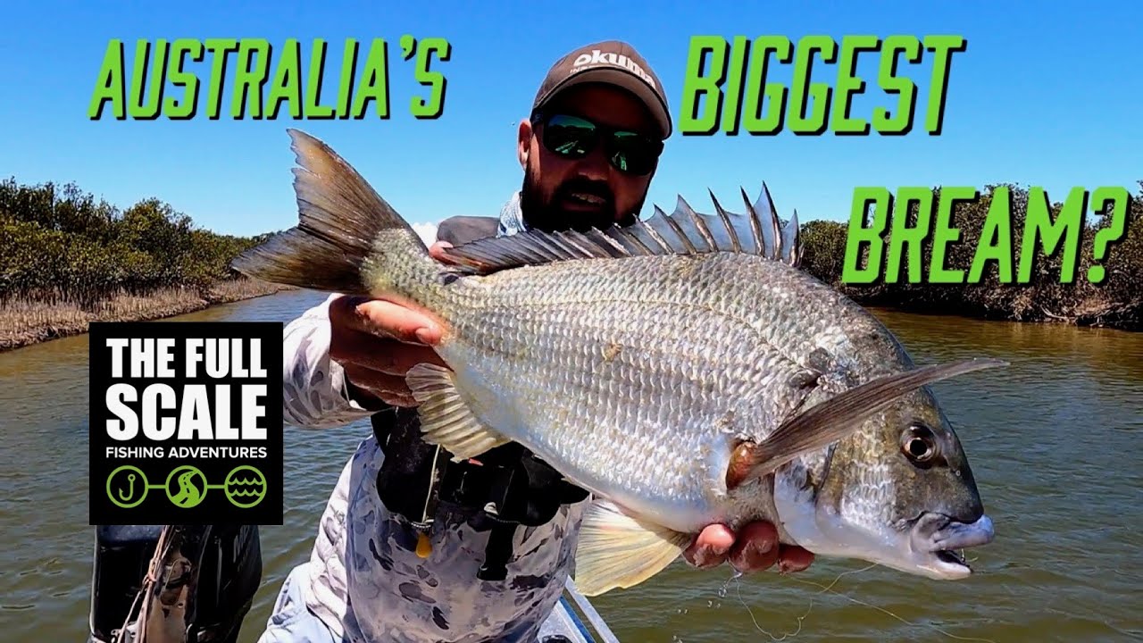 Australia's Biggest Bream? | Sight Casting Port Pirie | The Full Scale