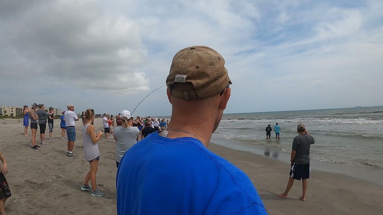 Multi-Species Surf Fishing in Cocoa Beach (Catch & Cook)