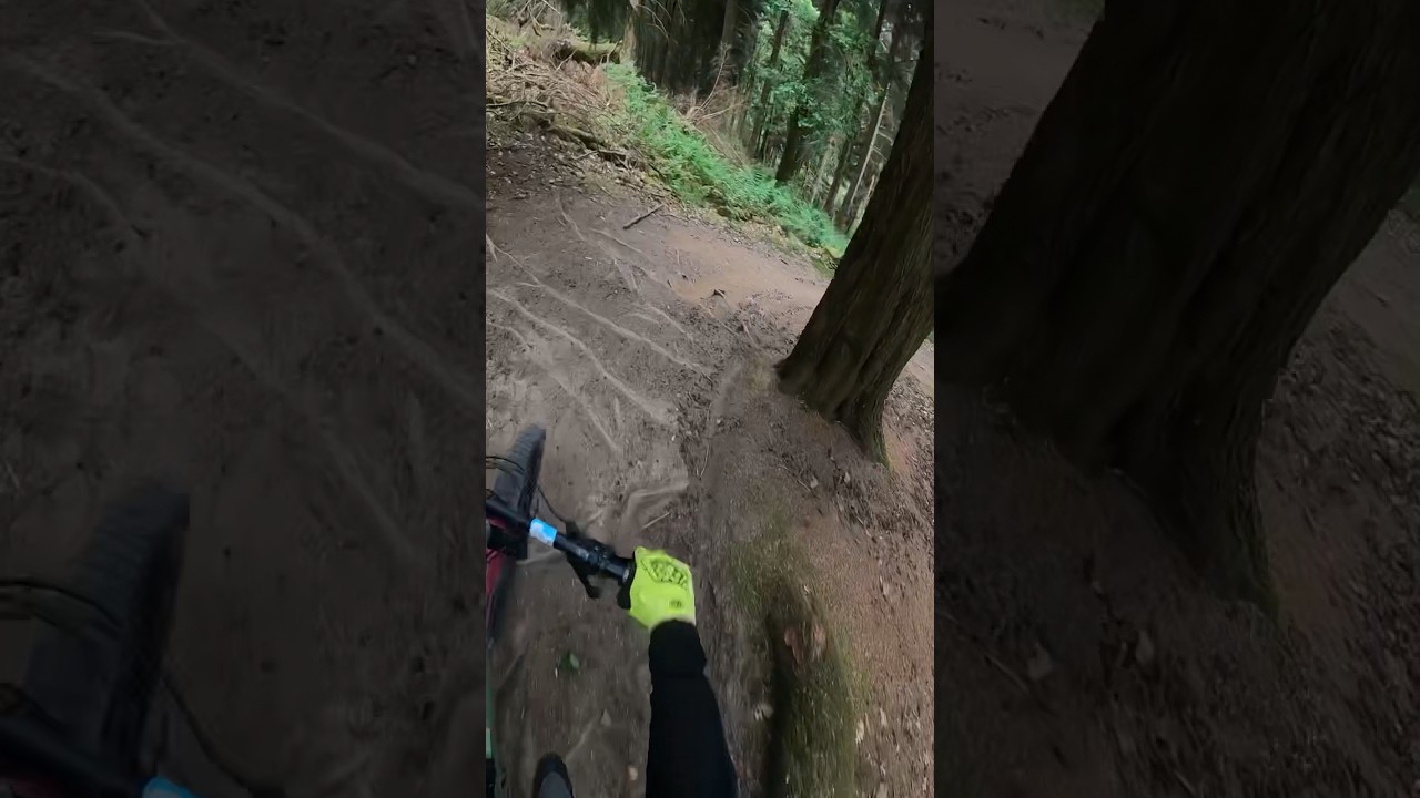 FOD! #mtb #bikes #mtbbike #fyp #viral #shorts