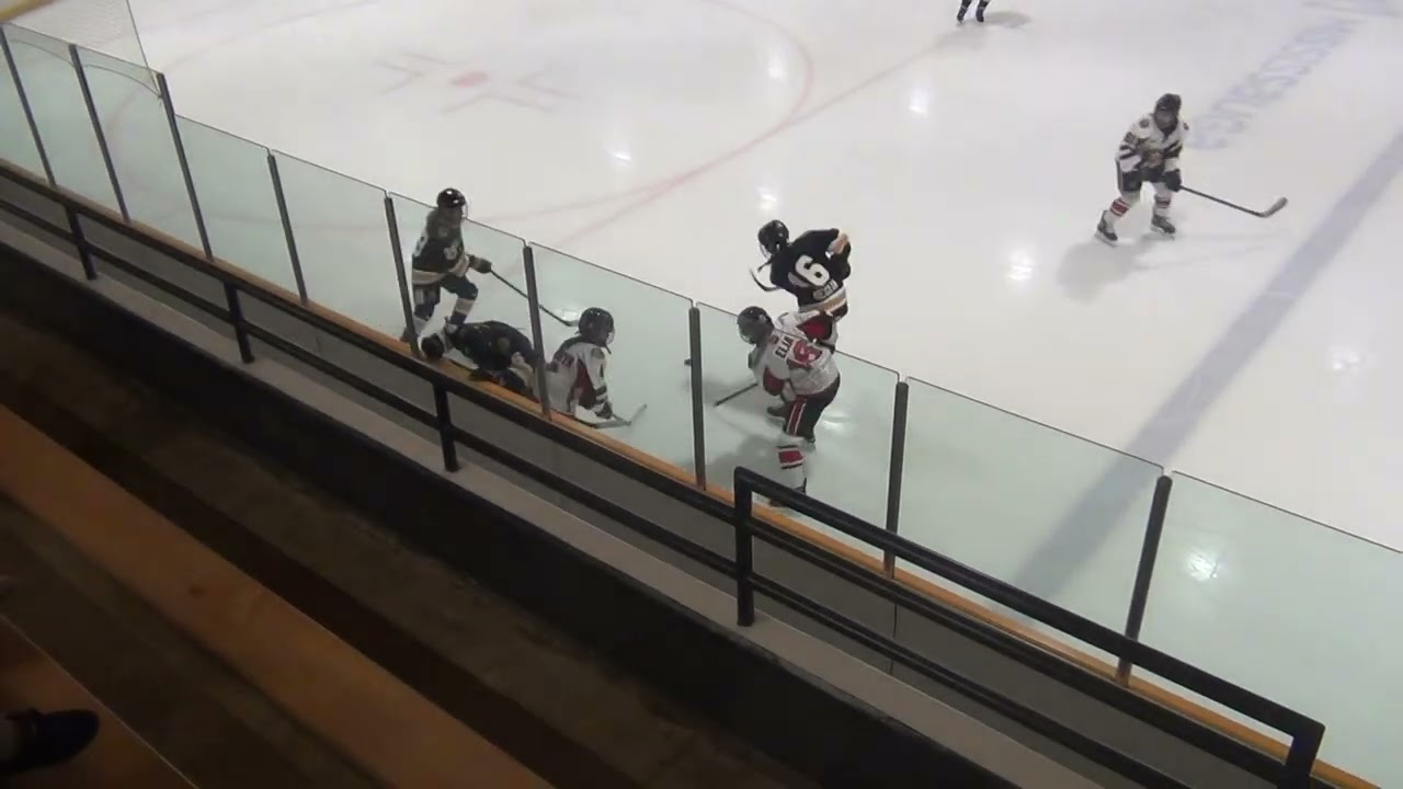 Playdown game 2 U15B Ian vs  Oakville Hornets #1266 Feb 9 26 P1