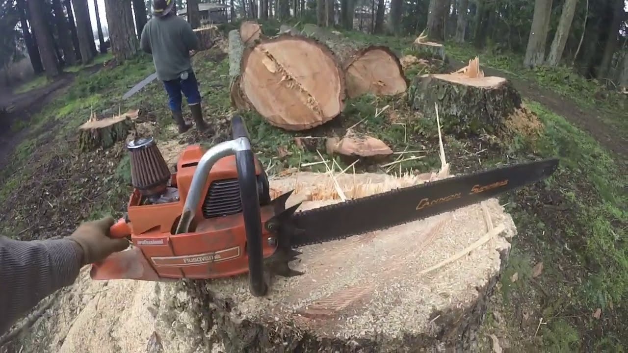 Tall Fir & Tight Shot!!! Dynamic Hinge,,, Savin' Wood...