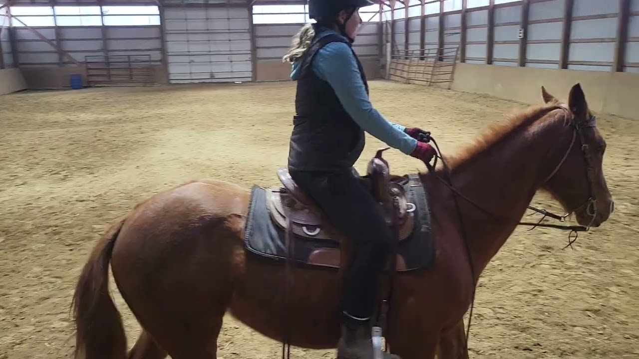 SB Virtual Horse Show Western - February 2026 - Intro Test 3