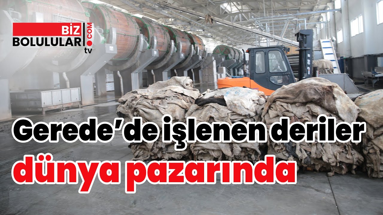 Gerede'de İşlenen Deriler Dünya Pazarında | Biz Bolulular TV
