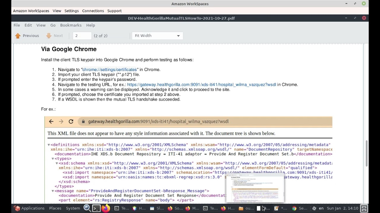 HealthGorilla Mutual TLS How To / Testing via Google Chrome