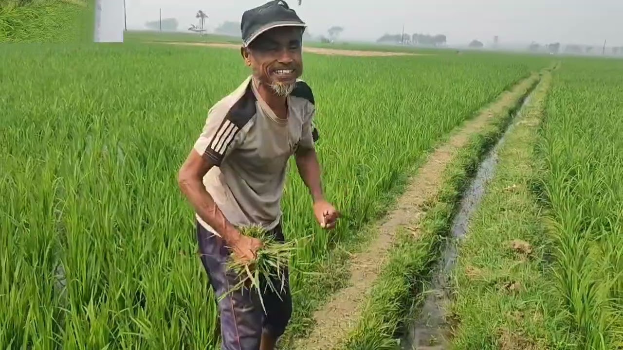 জীবনের চিত্র এটাই বাস্তব জীবন জীবিকা #youtubevideos# 