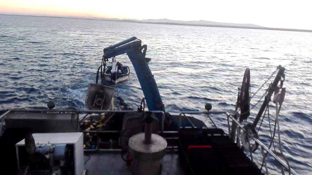 Sardinier kelibia, pêche a la senne : détection des blancs de thon en plein jour : patron mohamed Ga