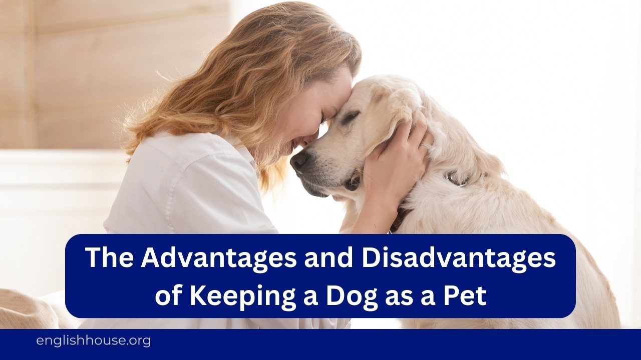 The Advantages and Disadvantages of Keeping a Dog as a Pet
