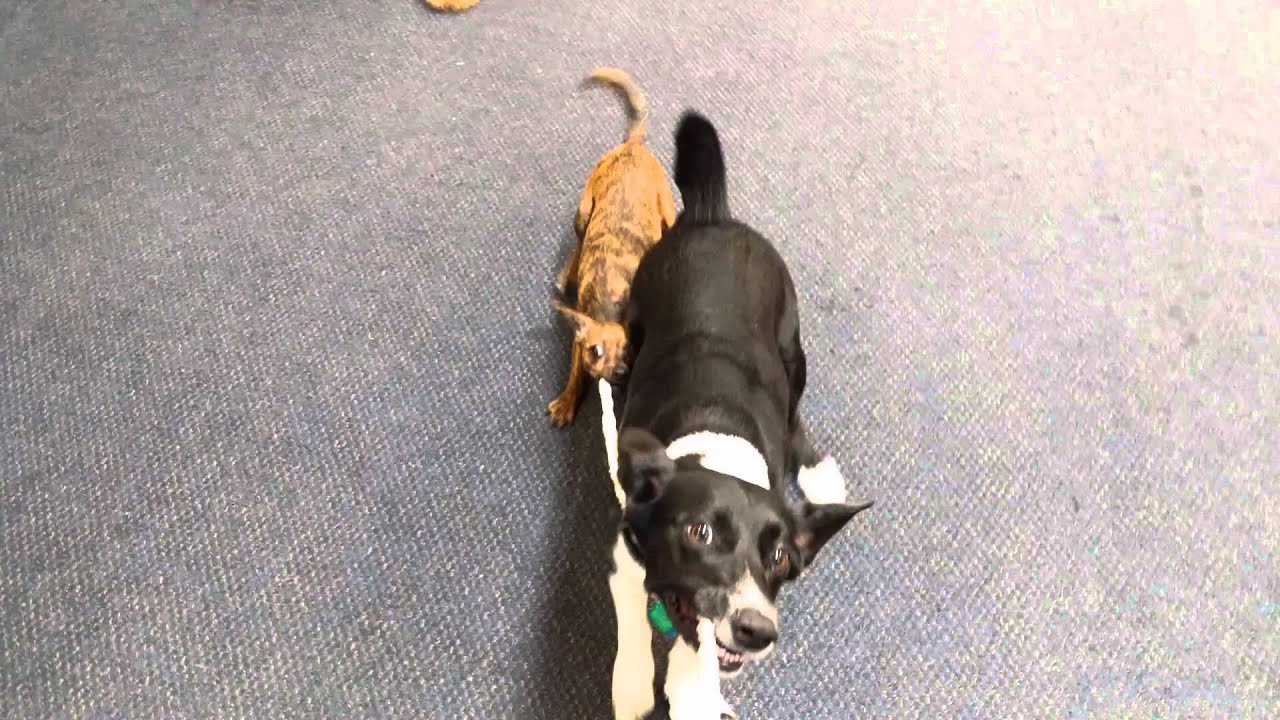 Morning Efficient Play Time