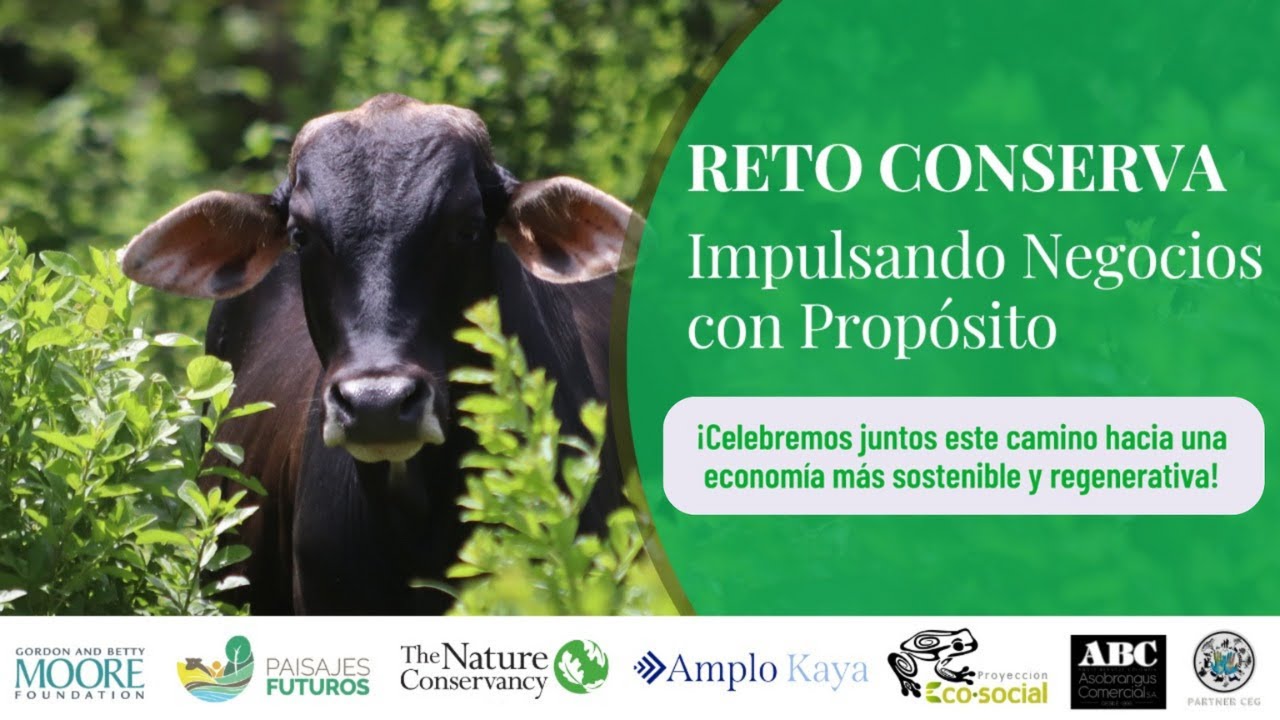 RETO CONSERVA ORINOQUÍA Carne Regenerativa y Sostenible del Meta y Casanare trazada con VP-VISIPRAST