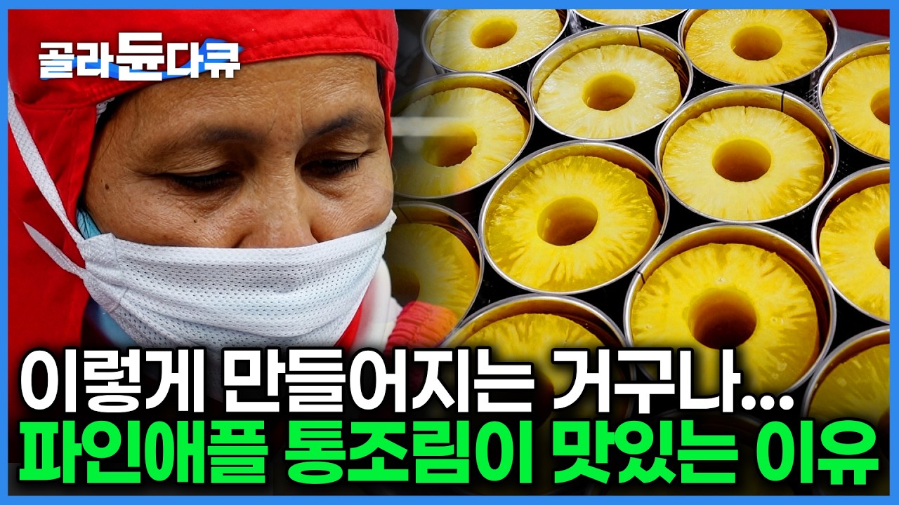 세계 2위 생산국의 비결. 기계가 자르고 사람 눈으로 직접 보고 선별하는 필리핀 파인애플 공장｜극한직업｜#골라듄다큐