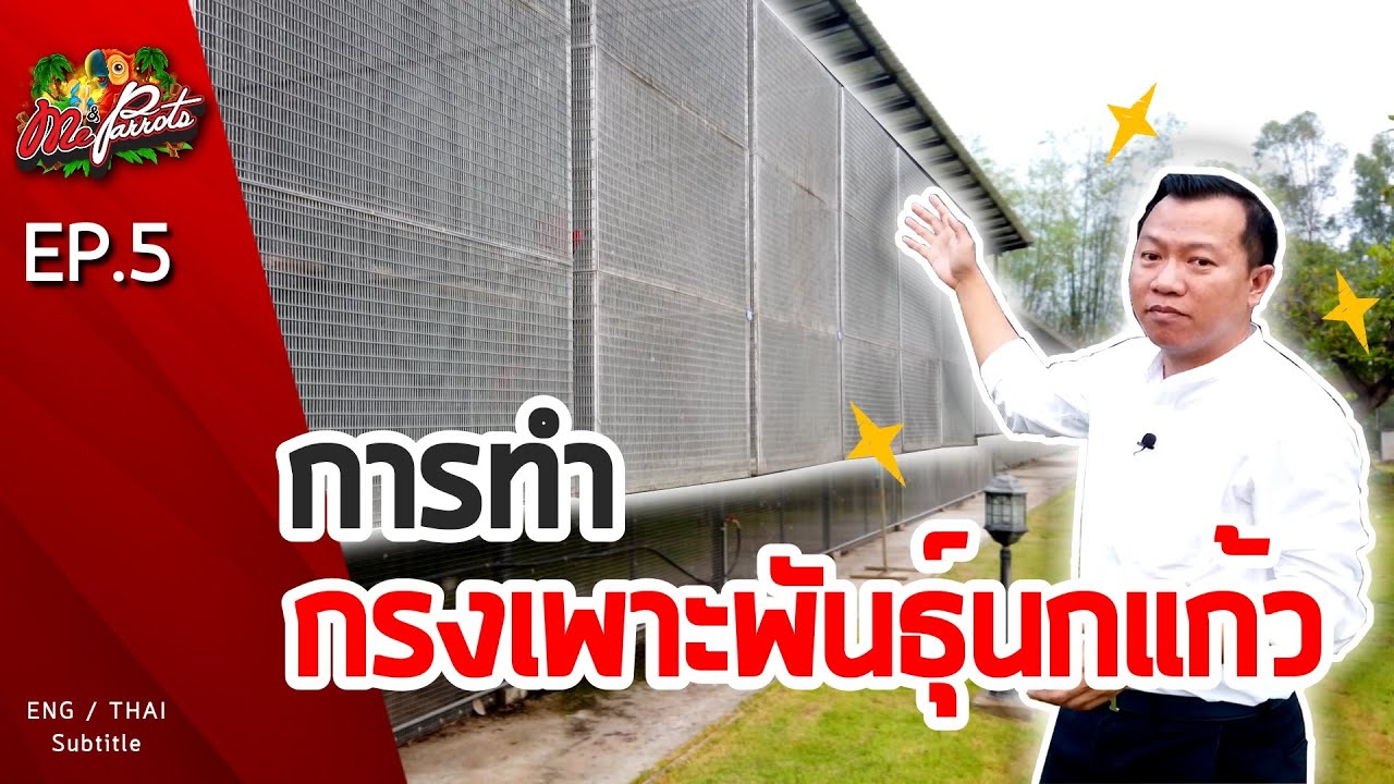 EP5.การทำกรงเพาะพันธุ์นกแก้ว (Making a cage for breeding parrots)