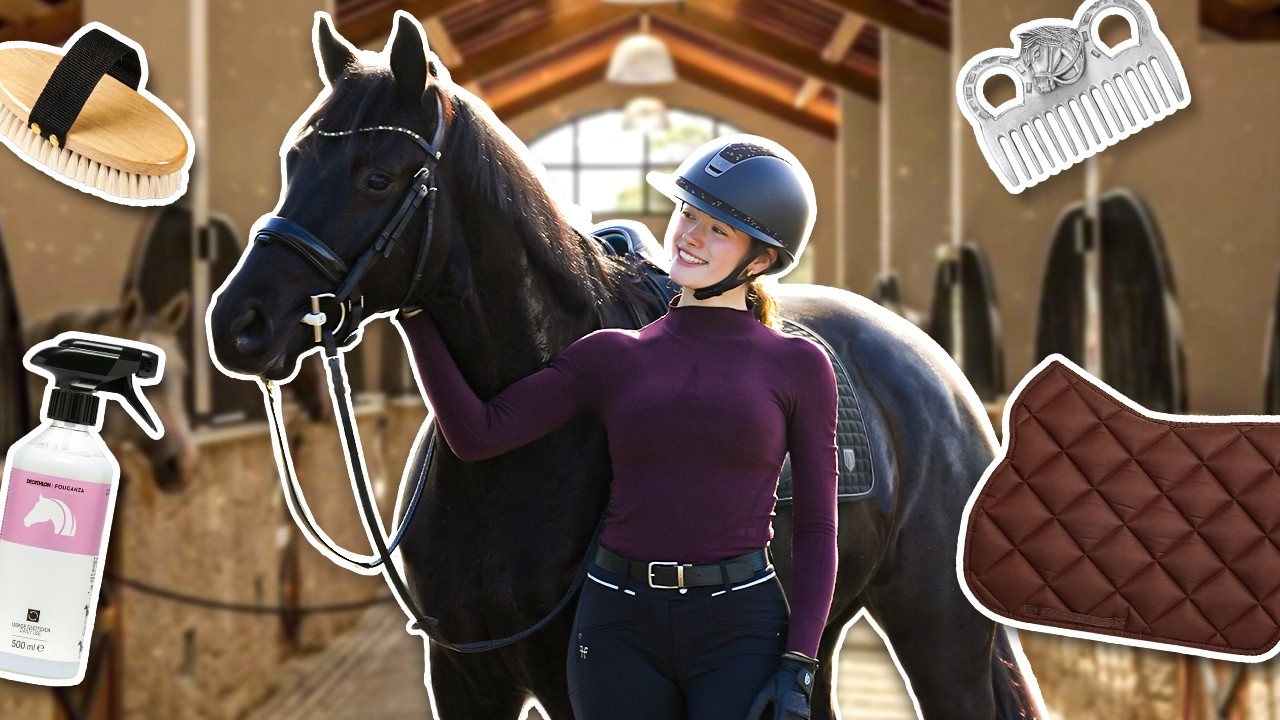 LA ROUTINE DE MON NOUVEAU CHEVAL