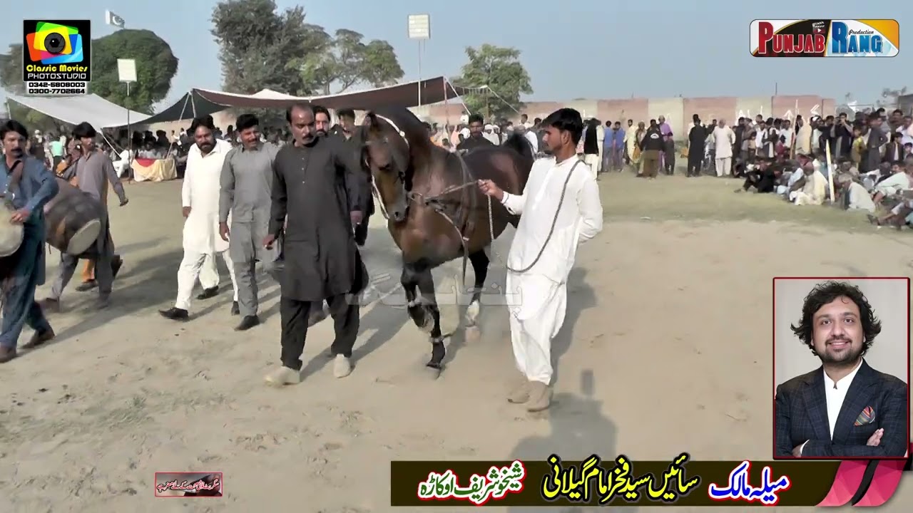 Fighter l Horse Dance13 November 2025 l Arkana Waseeran l Ch Hassan Iqbal Maan l Ch Ahmad Hassan