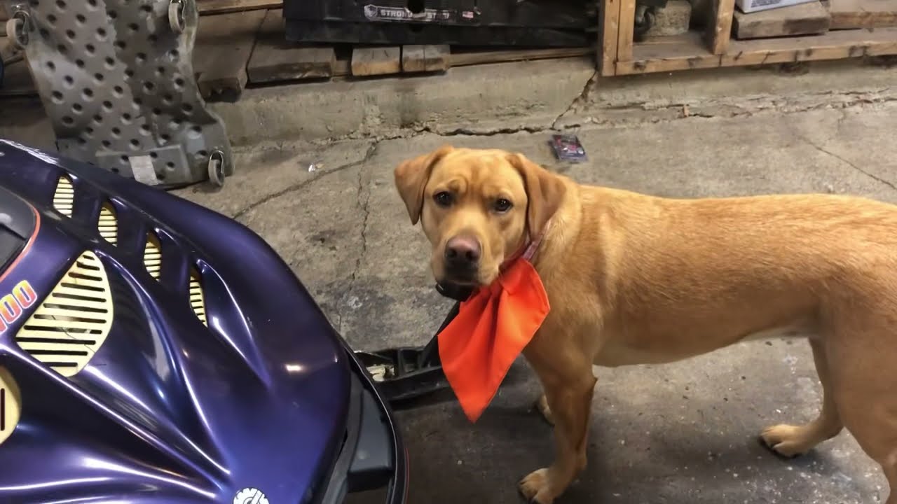 $400 Formula III WILL IT RUN?