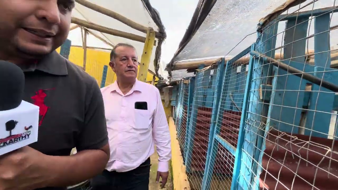 LA HISTORIA DE LOS PADROTES DE CRD “EL JAHUEY”