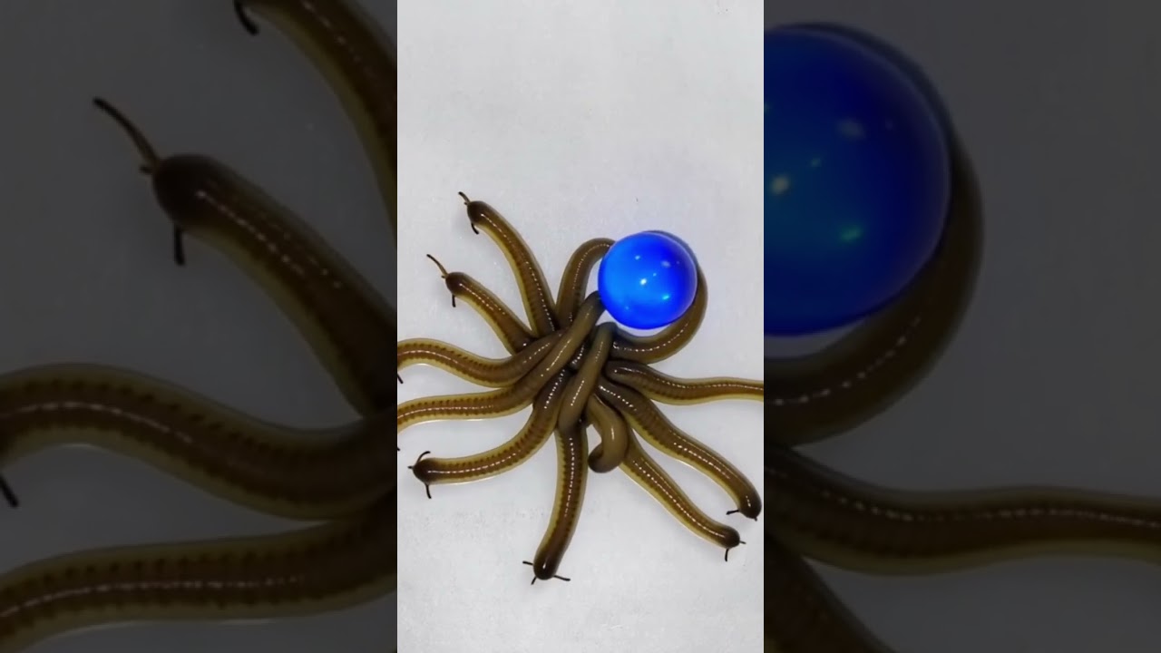 Blue ball born from worms and seducing the baby boy* Surreal Satisfying