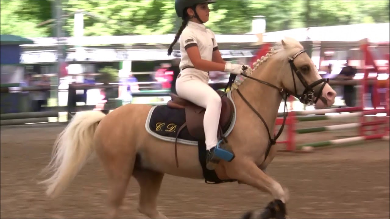 Campionati Italiani 2018 - Pony games  - dressage - salto ostacoli - Le Siepi Cervia