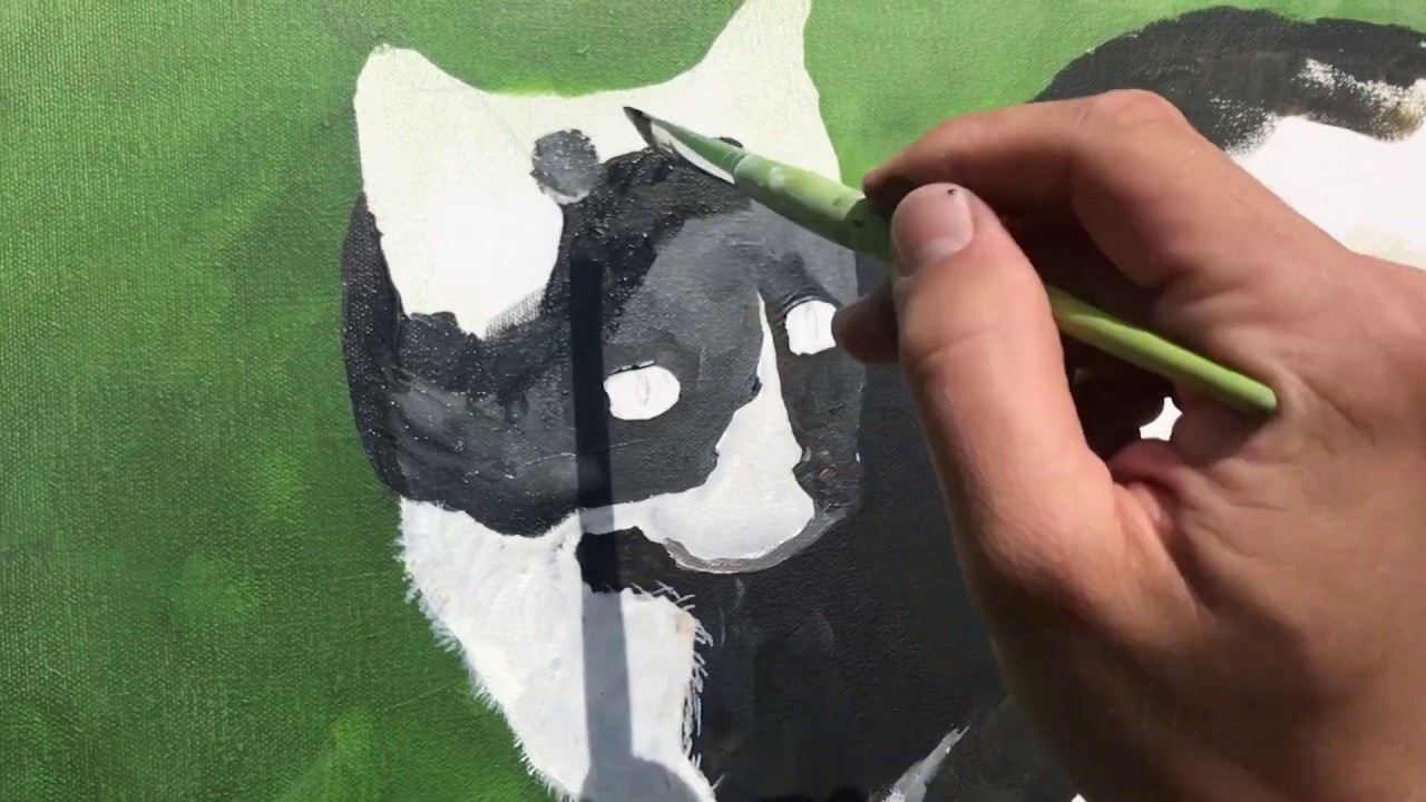 #36 Eine Katze malen lernen mit Acryl / Schritt für Schritt live Part 1 / cat painting with acrylic