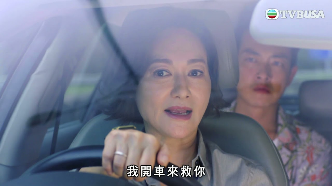 鐵探 | 混戰中阿Sir頭慘遭中搶【惠英紅】
