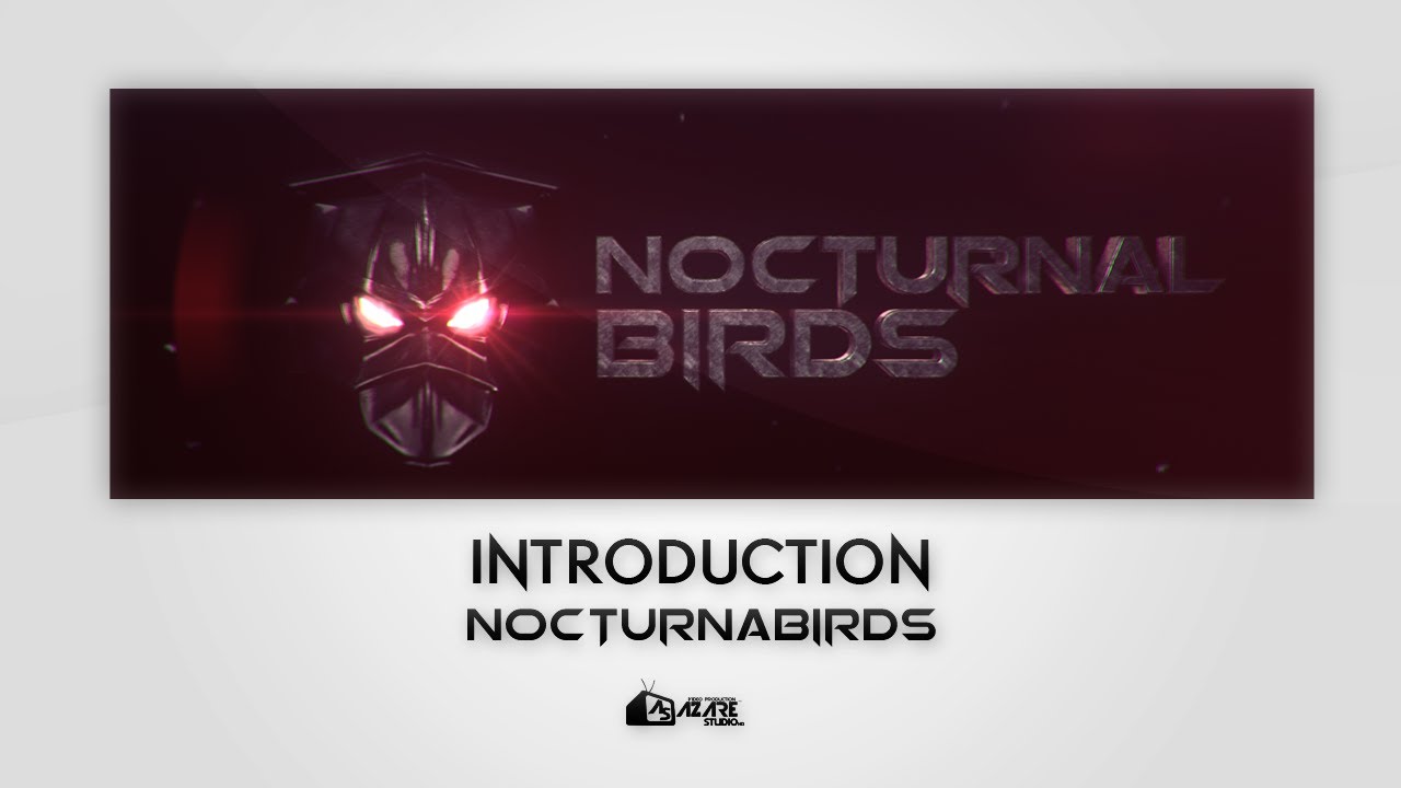 Intro Nocturnal Birds + Breakdown | AzareStudio