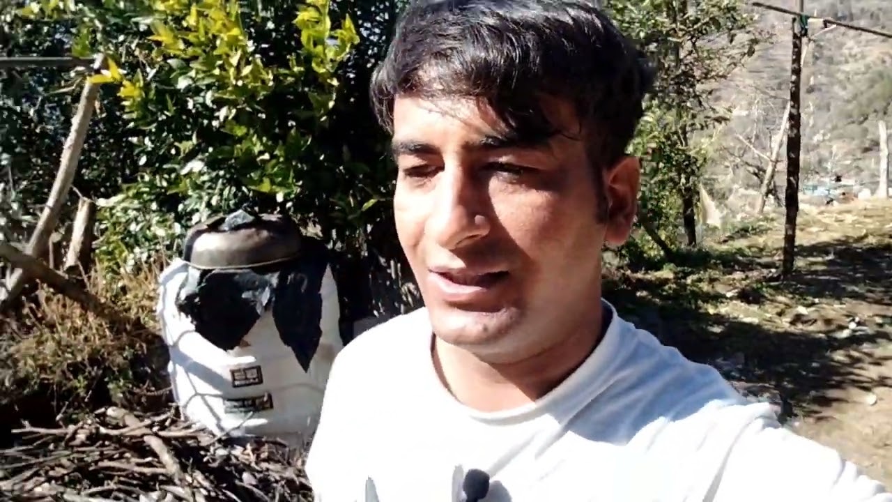 Enjoy this day vlogs community veril video 1m views