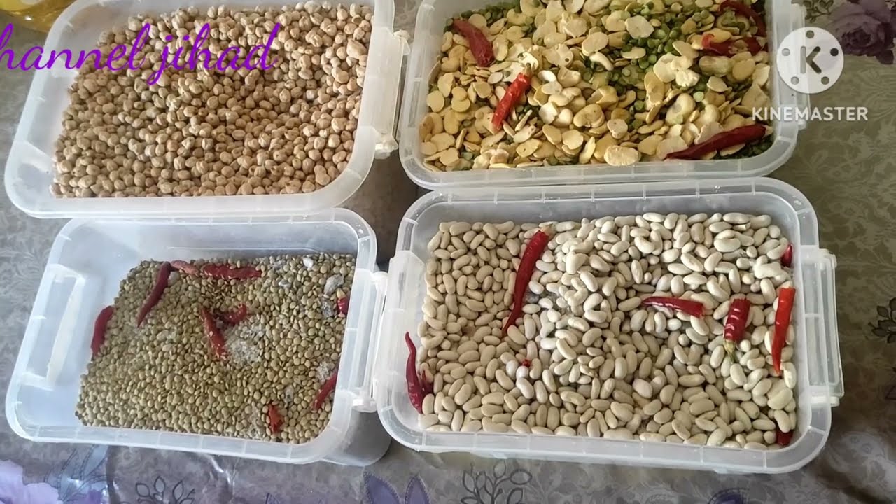 تقدية ديال صطوك  وصطوك القطاني ديال العام وكيفاش كنحافض عليهم