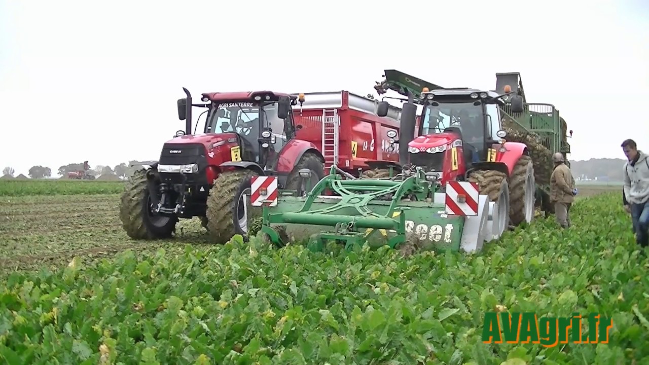 [NEWS 2016] BETTERAVENIR 2016 (7/10) FRANQUET X-Beet et X-Load