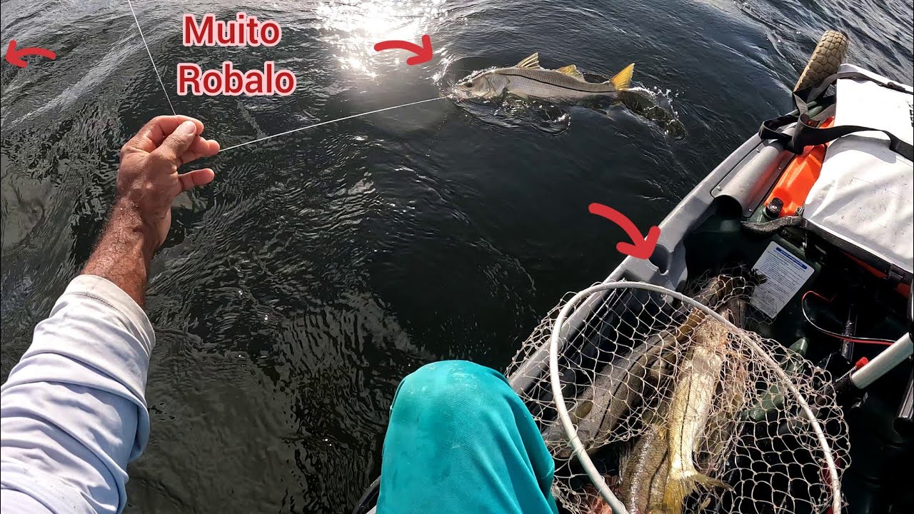  Cardume de Robalo, Pesca com caiaque.