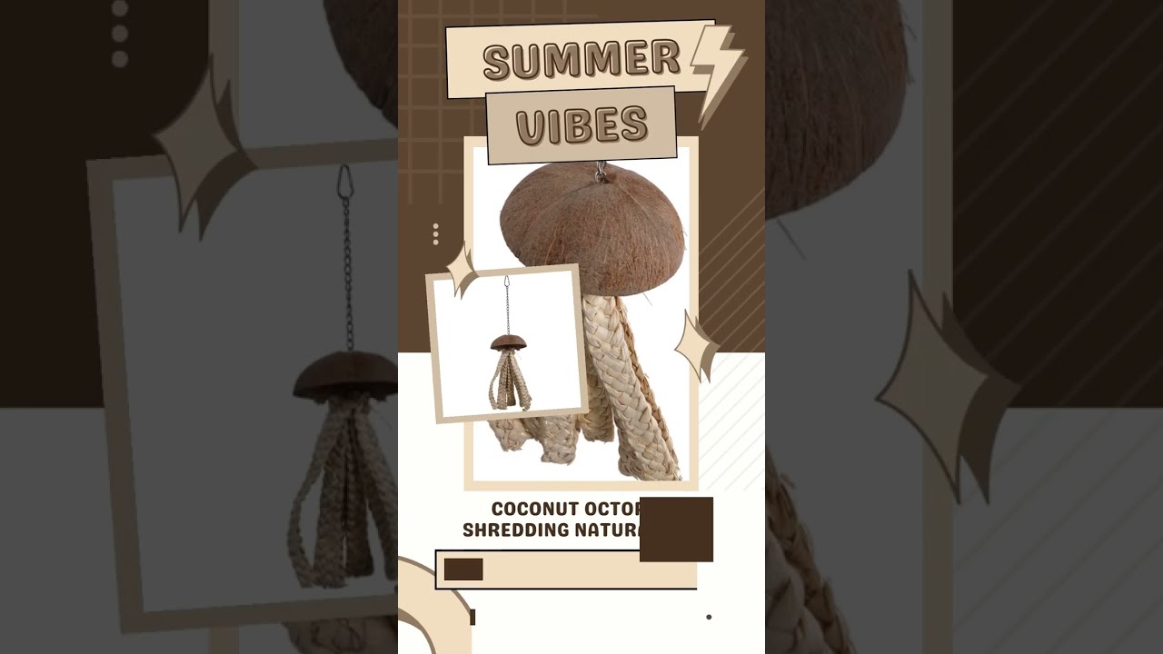 Parrot Essentials Summer Flash Sale on Parrot Toys, Parrot Food and Accessories