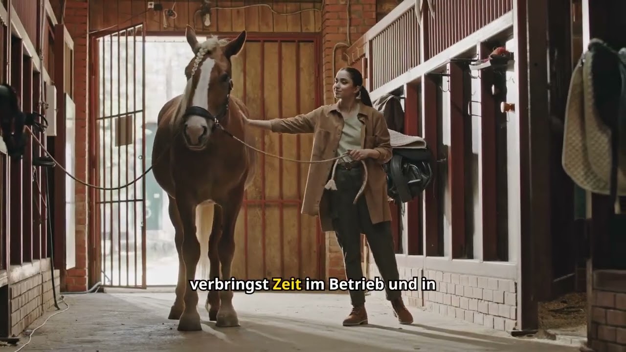 Pferdepfleger Vollzeit