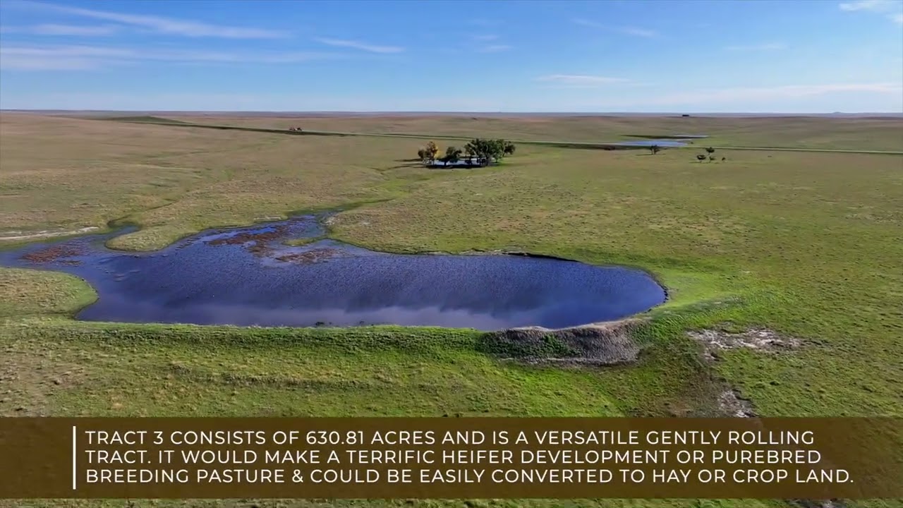Box Butte Ranch Auction