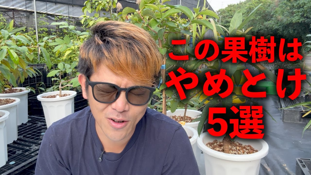【無謀】この5つの果樹は絶対に植えるな．．．