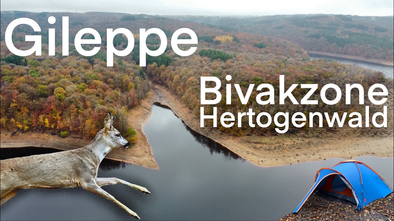 Gileppe - Hertogenwald - Bivakzone