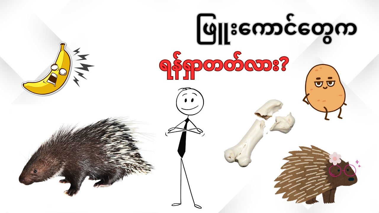 တောထဲက