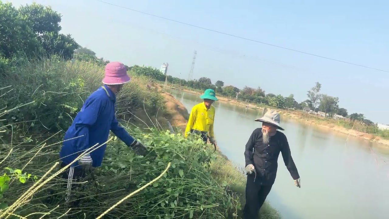 Bữa Nai anh em đi Lấy thuốc nam ngay cuối 2025