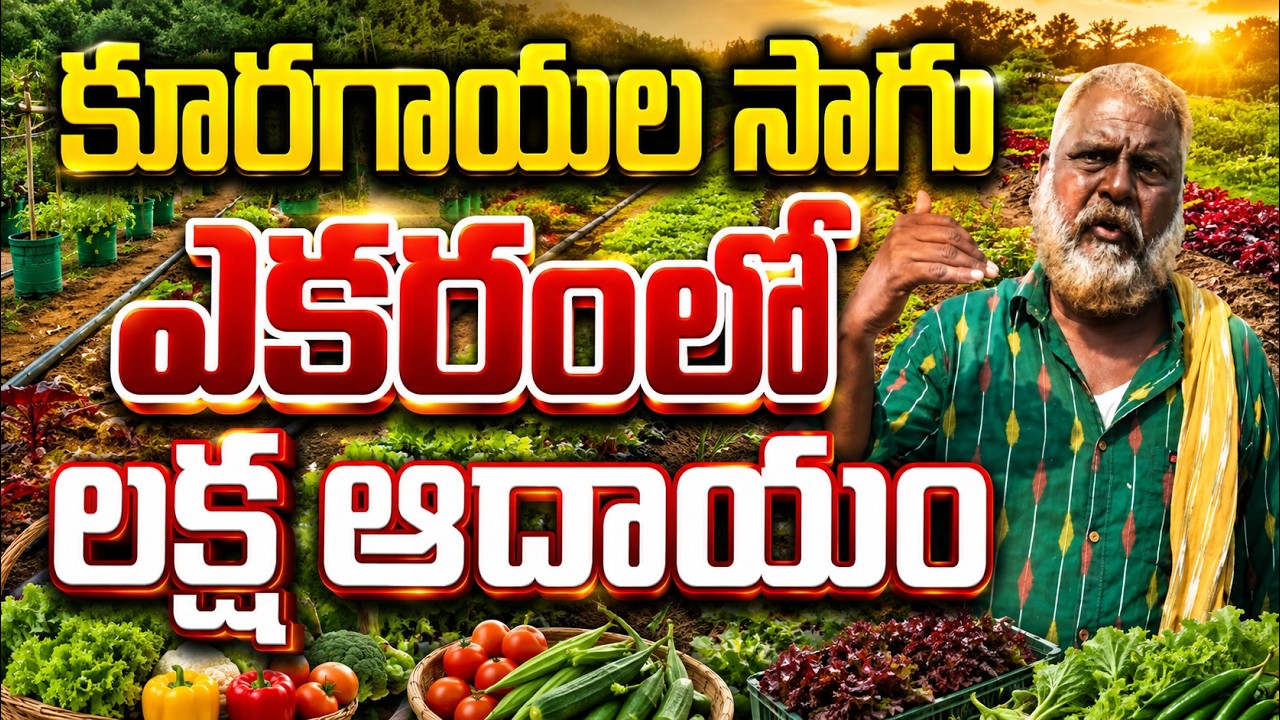 ఎకరంలో నెలకు లక్ష రూపాయల ఆదాయం | natural farming | BHOOMIPUTHRA TELUGU