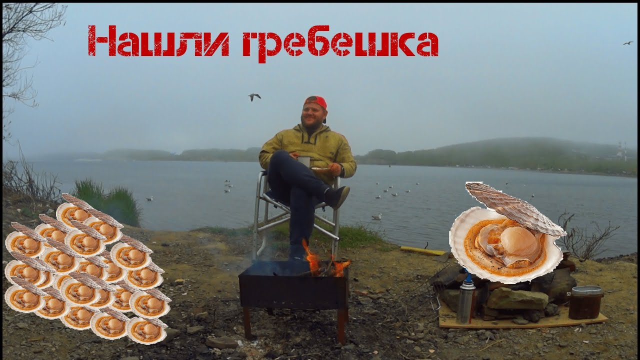 Морской гребешок. Как же его ловить? Как чистить гребешка? Как приготовить гребешка на костре?